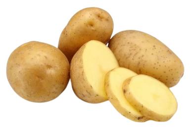 High Quality Sugar Free Fresh Potato