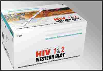 Hiv 1&2 Western Blot 