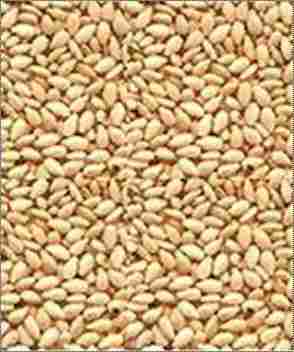 Natural Sesame Seed for Cooking