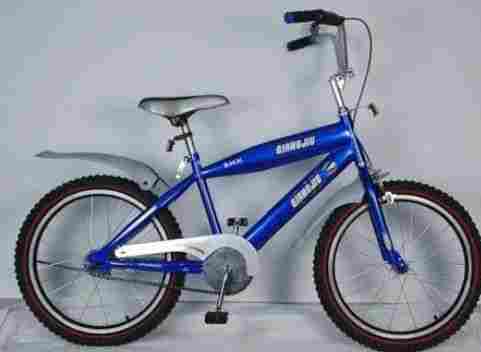 20 Inches Steel Frame Kids Bicycle