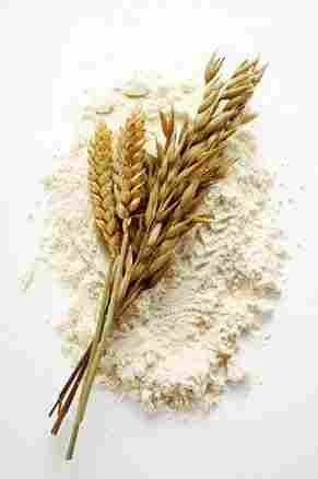 Turkish Organic Wheat Flour