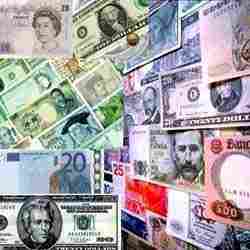 Shree Sai Foreign Exchange Services