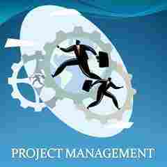 Project Management Consultancy Services