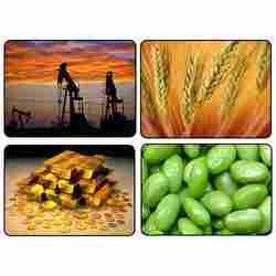Commodities Trading Services