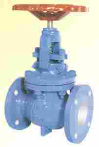 ASHRAY Globe Valves