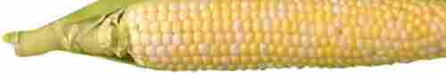 Corn Cob Grit
