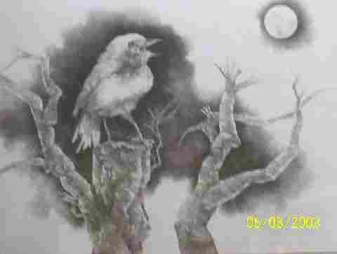 Nightingale Bird Paintings