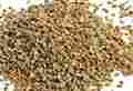 Ajwain Seeds For Delicious Food