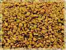 Organic Dried Fenugreek Seed