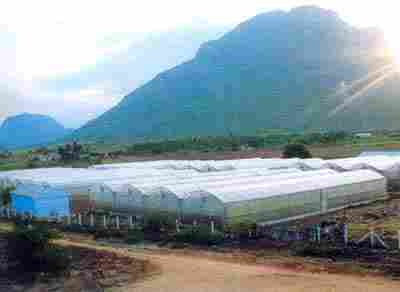 Galvanized Steel Structures Garden Greenhouse
