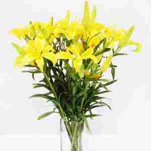 Yellow Lilies In A Glass Vase