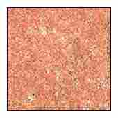 Sindoor Red Granite Tile