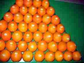 Nutritious Fresh Navel Orange
