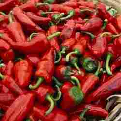 Red Chilli