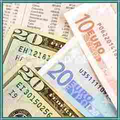 Foreign Currency Exchange Services