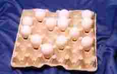 White Egg Packaging Tray