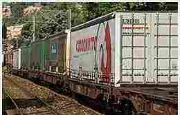 Domestic Cargo Services By Rail