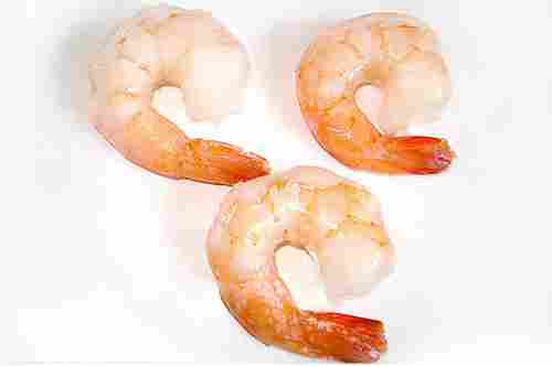 Sea Brown Shrimps
