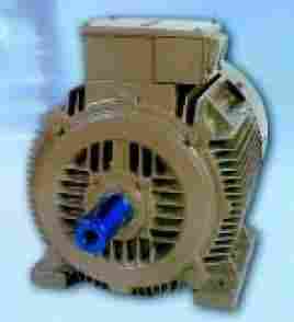 Tefc 3 Phase Squirrel Cage Induction Motors