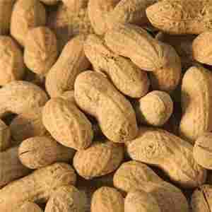 Finest Quality Groundnuts