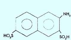 Amino G-Acid