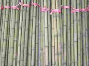 Bamboo Poles Sticks
