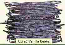 Cured Vanilla Beans