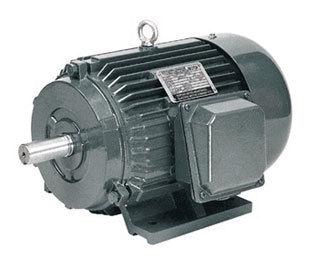 Y Series Three Phase Induction Motor