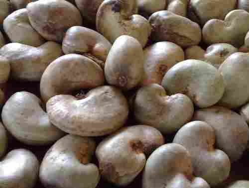 Natural Raw Cashew Nuts