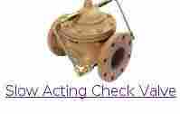 Slow Action Check Valves