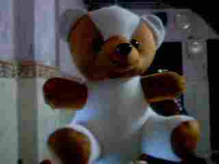 Teddy Bear-10"