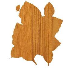 Teak Asia Wooden Floorings