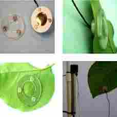 Digital Leaf Temperature Sensor