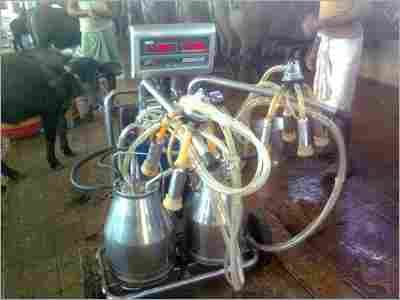 Cow Milking Automatic Machine