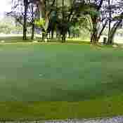Artificial Surface Grass For Golf