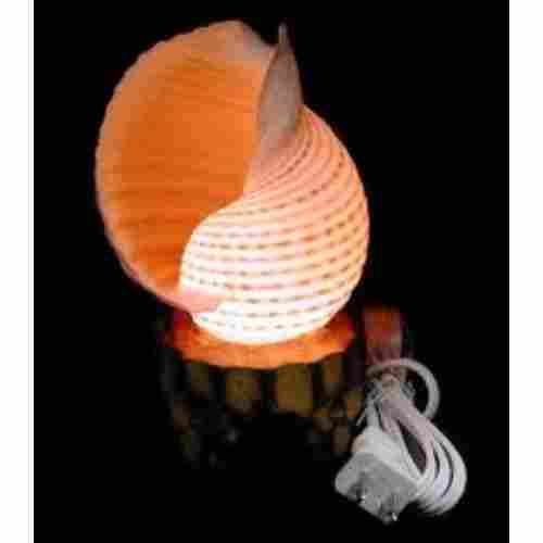Sea Shell Lamps