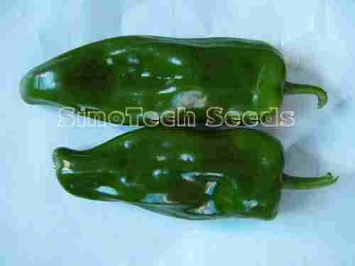 Hot Pepper Seed Rainflower