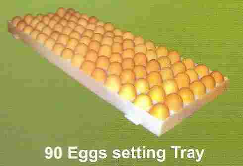 90 Egg Setting Trays