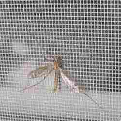 Insect Mosquito Screen