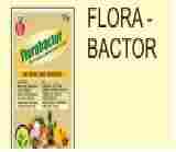 Flora Bacter