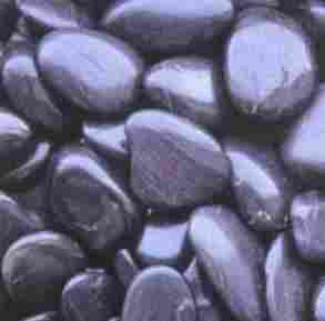 Natural Coated Pebbles