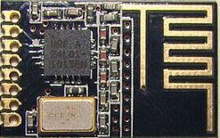 RF Module (DH2400)