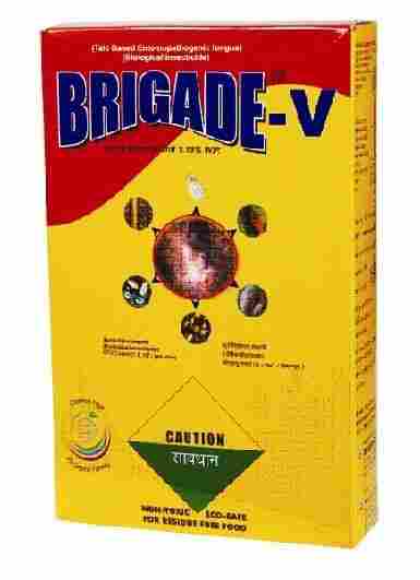 Brigade V