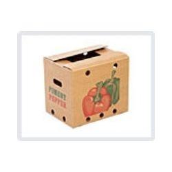 Vegetables Export Boxes