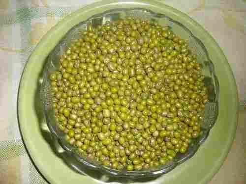 High Quality Green Moong Beans