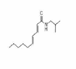 (2e,4e)-N-Isobutyl Decadienamide (Pellitorin)