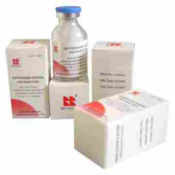 Amoxicillin Sodium Clavulanatic For Injection