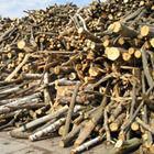 Wood Raw Materials