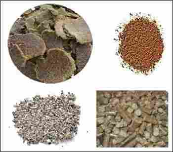 Cotton Seed Products