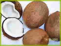 NOORANA Coconut